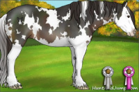 Horse Color:White Spotted Liver Chestnut Splash 