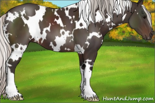 Horse Color:White Spotted Silver Brown 