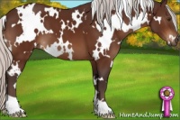 Horse Color:White Spotted Silver Brown