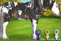 Horse Color:White Spotted Liver Chestnut Splash 