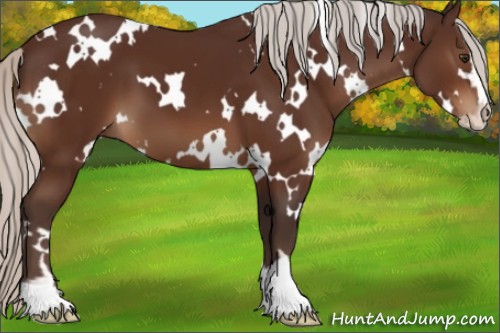 Horse Color:White Spotted Silver Brown Sabino 