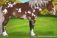 Horse Color:White Spotted Silver Brown Sabino