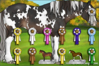 Horse Color:White Spotted Liver Chestnut Splash 