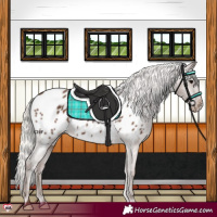 Horse Color:Silver Black Blanket 