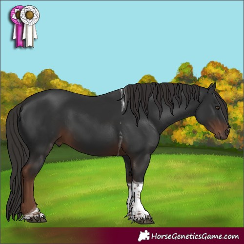 Horse Color:Liver Chestnut Tobiano 