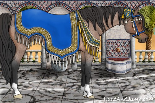 Horse Color:Bay Roan 