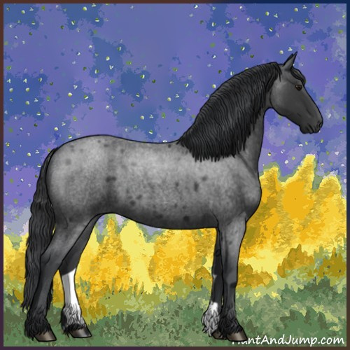 Horse Color:Blue Roan