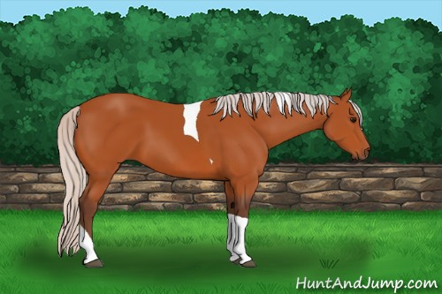 Horse Color:Silver Bay Tobiano