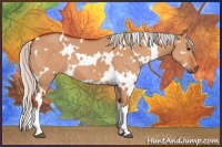 Horse Color:White Spotted Silver Bay Dun 