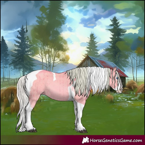Horse Color:Watercolor Silver Bay Dun Splash Tobiano Brindle 