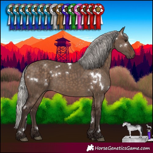 Horse Color:White Spotted Silver Brown Dun 