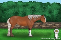 Horse Color:Silver Bay