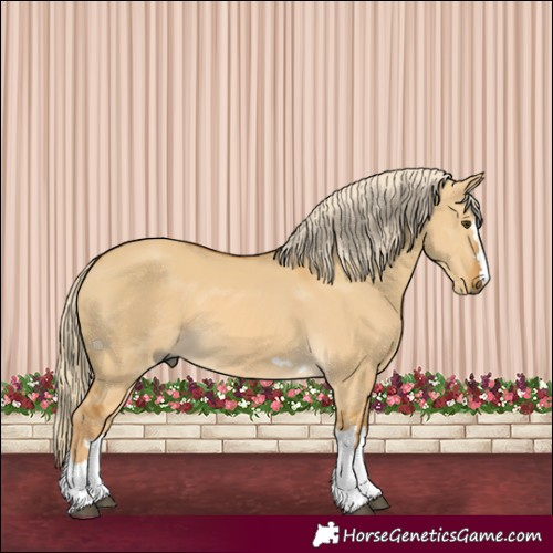 Horse Color:Palomino Dun 