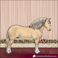 Horse Color:Palomino Dun 