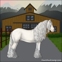 Horse Color:Cremello Dun Tobiano