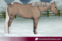 Horse Color:Silver Grullo Tobiano 