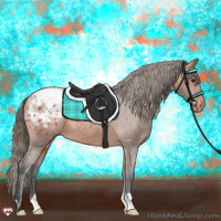 Horse Color:Bay Appaloosa 