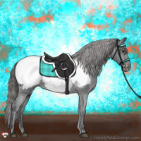 Horse Color:Black Appaloosa