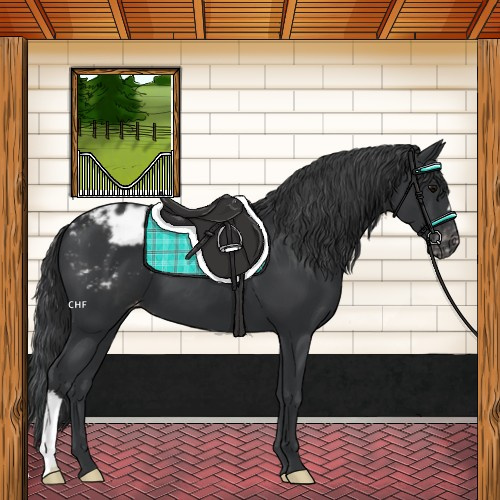Horse Color:Black Varnish 