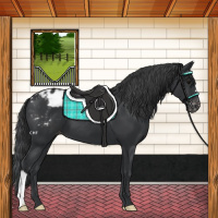 Horse Color:Black Varnish 