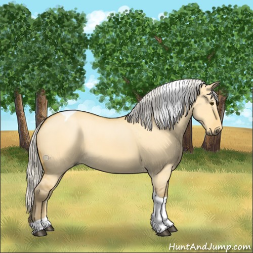 Horse Color:Silver Buckskin Dun Tobiano