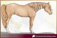 Horse Color:Chestnut Pearl