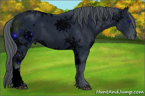 Horse Color:ERROR: UNKNOWN ANOMALY