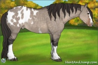 Horse Color:White Spotted Brown Dun Mushroom Sabino Blanket 