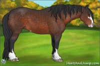 Horse Color:Brown Mushroom Sabino 