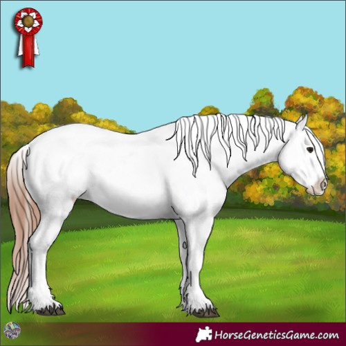 Horse Color:Bay Dun Mushroom Sabino Near Leopard 