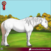 Horse Color:Bay Dun Mushroom Sabino Near Leopard 