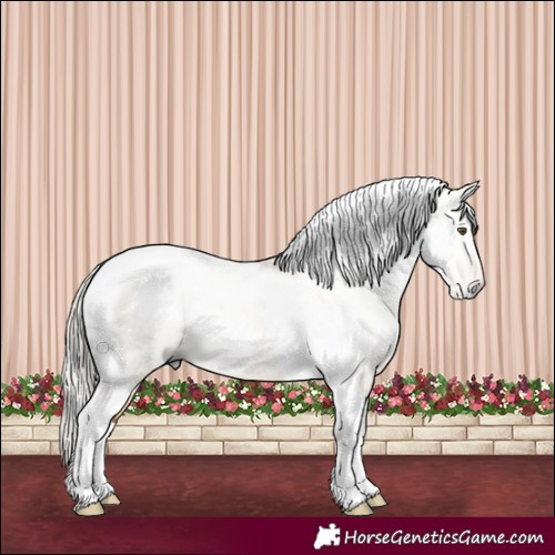 Horse Color:Gray Silver Buckskin Dun Tobiano 