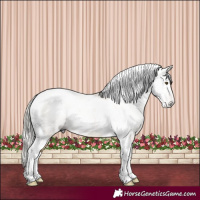 Horse Color:Gray Silver Buckskin Dun Tobiano 