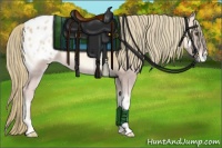 Horse Color:Red Onyx Pearl Appaloosa 