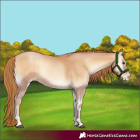 Horse Color:Red Onyx Pearl