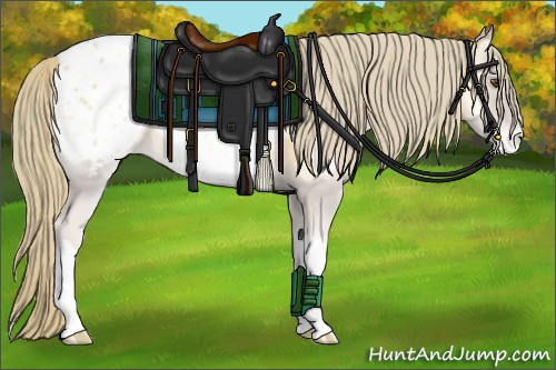 Horse Color:Red Onyx Pearl Appaloosa 