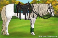 Horse Color:Red Onyx Pearl Appaloosa 