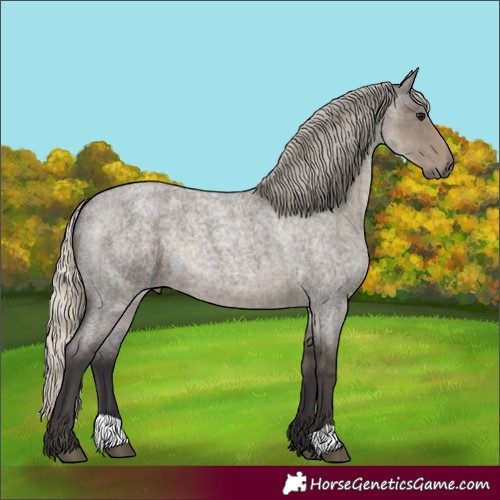 Horse Color:Silver Smoky Grullo Roan 