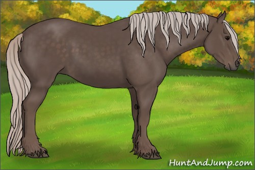 Horse Color:Silver Black 