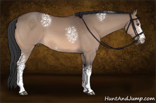Horse Color:White Spotted Brown Dun 