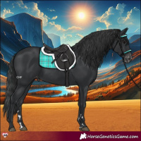Horse Color:Black Appaloosa