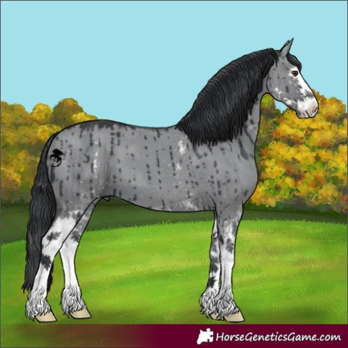 Horse Color:White Spotted Grullo Chinchilla Sabino Brindle 