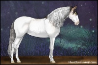 Horse Color:White Spotted Amber Champagne Splash Tobiano