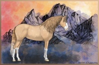 Horse Color:Gold Champagne Splash