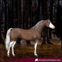 Horse Color:Silver Black Splash 