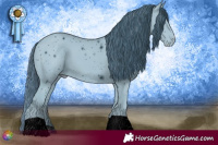 Horse Color:ERROR: UNKNOWN ANOMALY