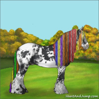 Horse Color:Painted White Spotted Black Splash Tobiano Frame Appaloosa 