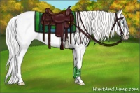 Horse Color:Platinum Cremello Roan Dun Splash 