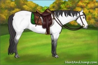 Horse Color:Platinum Buckskin Roan Dun