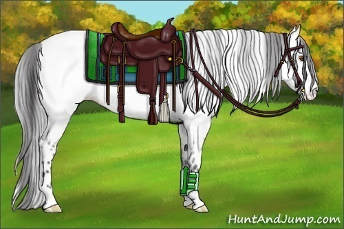 Horse Color:Platinum Buckskin Dun Appaloosa 